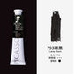 Phoenix Picasso Oil Paint 170ml