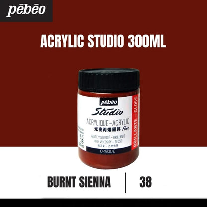 Pebeo Acrylic 300ml