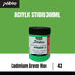Pebeo Acrylic 300ml